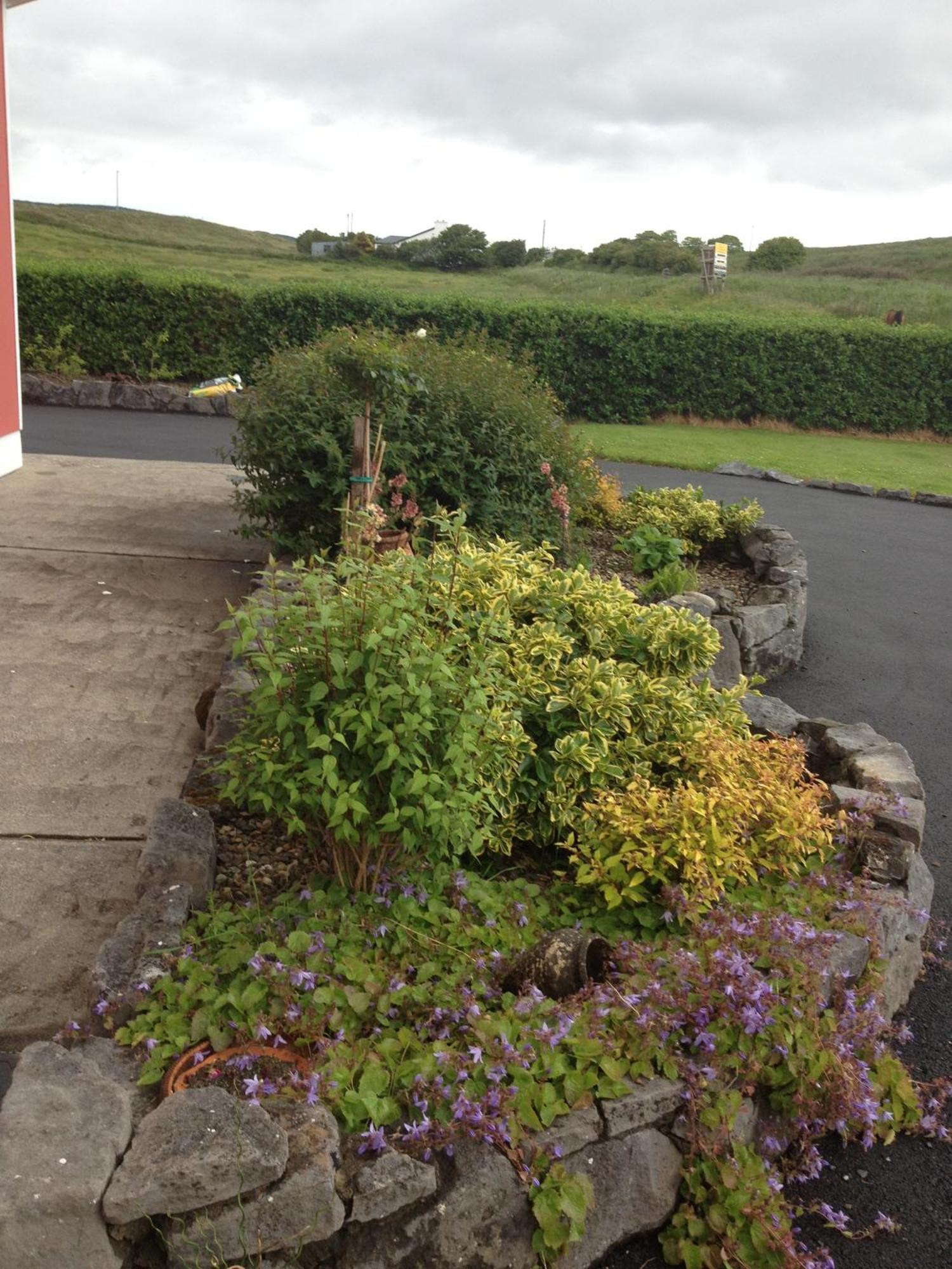 Greenlawn Lodge Lisdoonvarna Exteriér fotografie